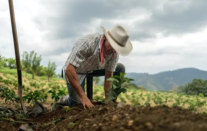 Trabalhadora conquistando a aposentadoria urbana e rural