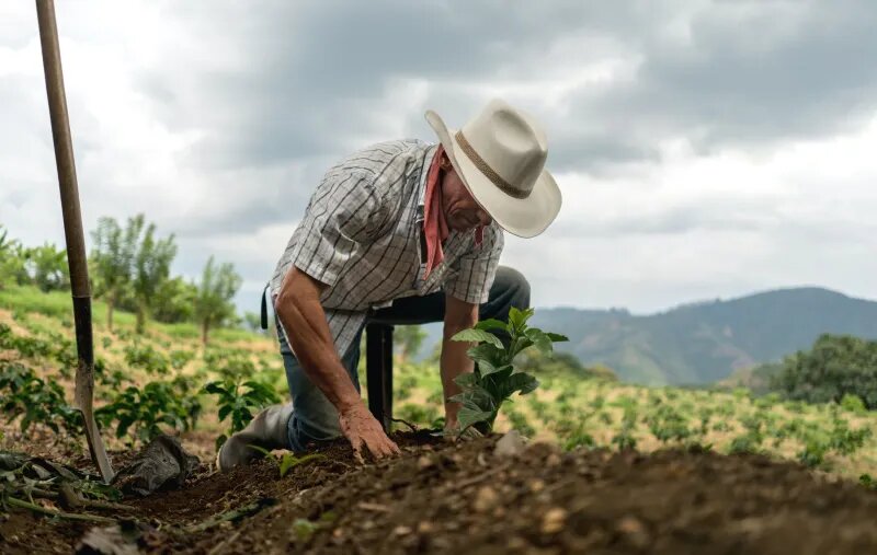 Trabalhadora conquistando a aposentadoria urbana e rural